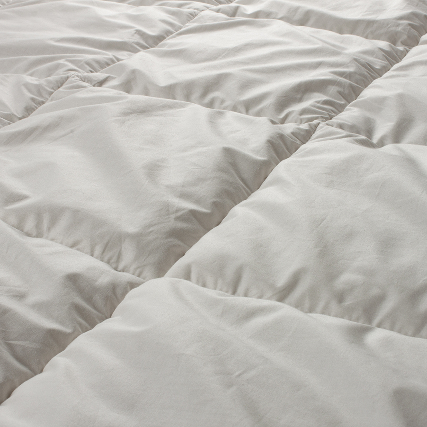 Lapland ulddyne - Baby eller Junior