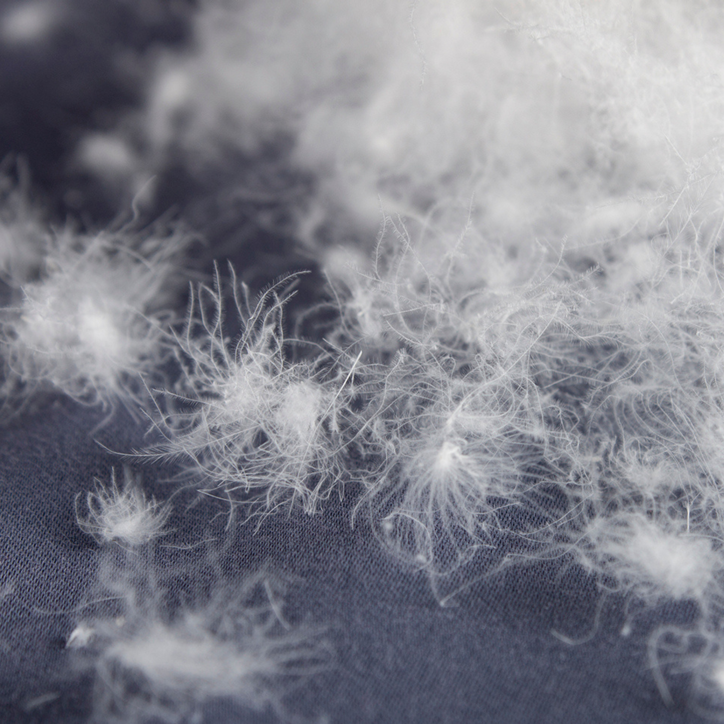 Pegasus gåsedunsdyne