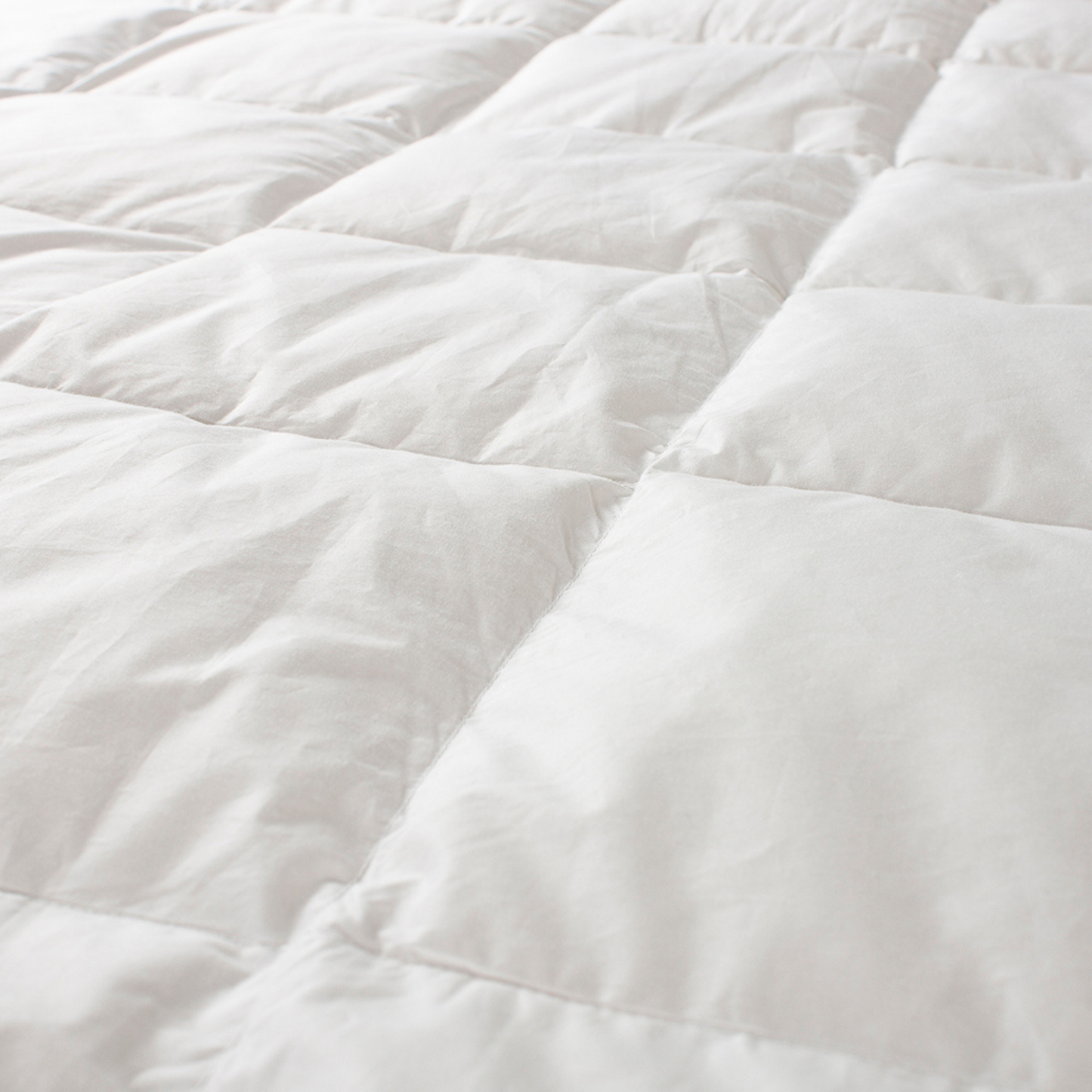 Vela - sommer moskusdyne